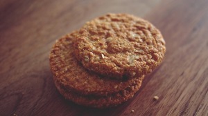 Natural apple spice cookies!