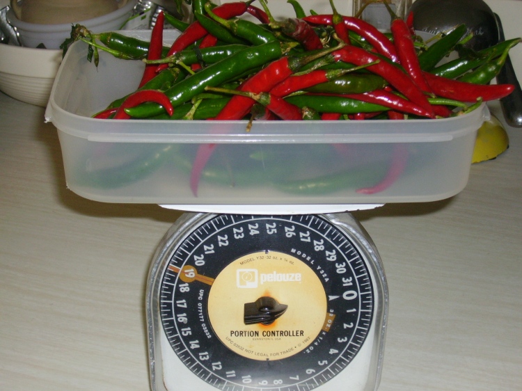 Cayenne pepper harvest